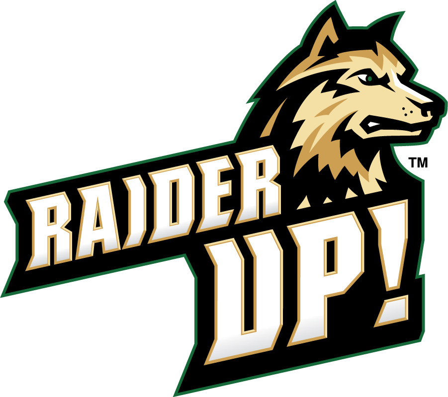 Wright State Raiders 2017-Pres Secondary Logo iron on transfers for T-shirts